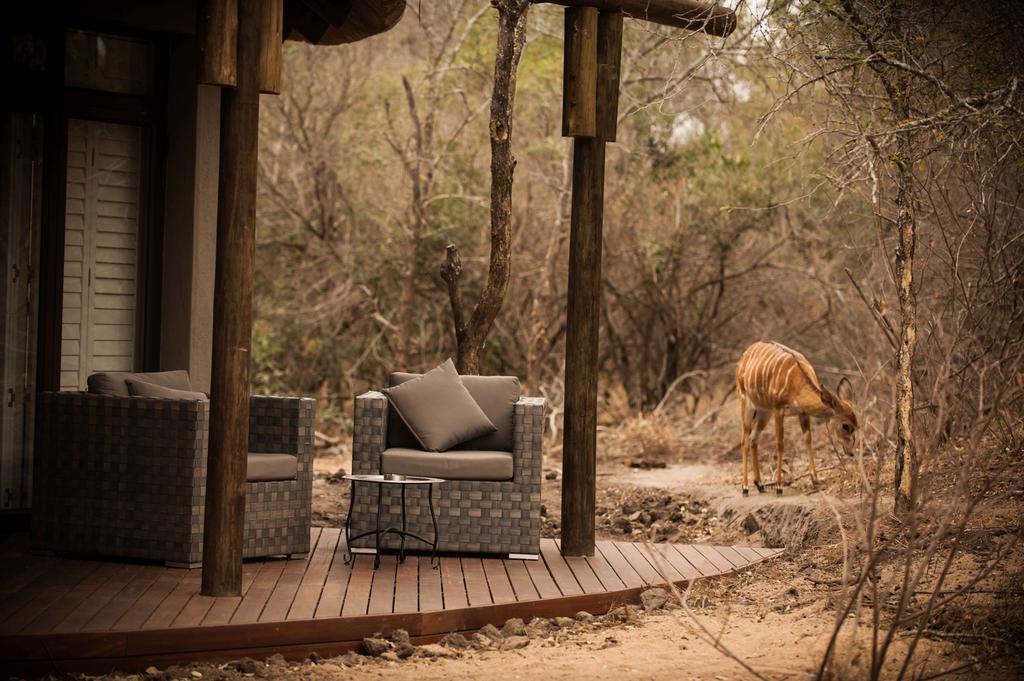 Moditlo River Lodge Hoedspruit Exterior foto