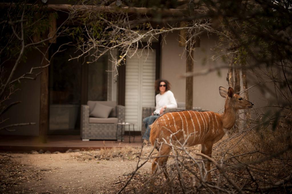 Moditlo River Lodge Hoedspruit Exterior foto