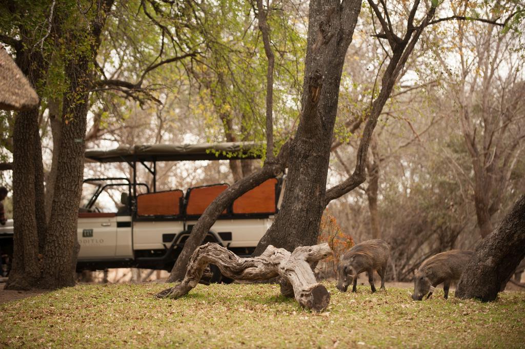 Moditlo River Lodge Hoedspruit Exterior foto